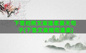 下雪拍照文案温柔夏天句子(下雪文案短句温柔)