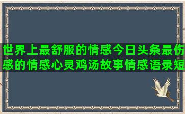 世界上最舒服的情感今日头条最伤感的情感心灵鸡汤故事情感语录短篇(世界上最舒服的地方)