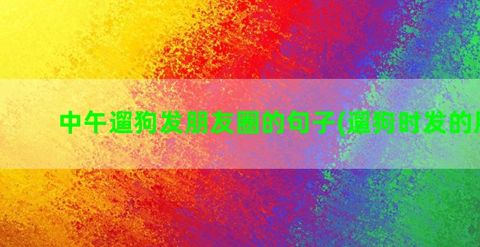 中午遛狗发朋友圈的句子(遛狗时发的朋友圈)