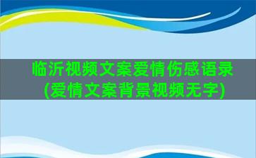 临沂视频文案爱情伤感语录(爱情文案背景视频无字)