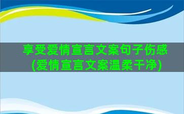 享受爱情宣言文案句子伤感(爱情宣言文案温柔干净)