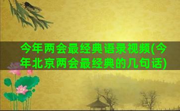 今年两会最经典语录视频(今年北京两会最经典的几句话)