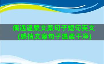 偶遇温柔文案句子短句英文(感情文案句子温柔干净)