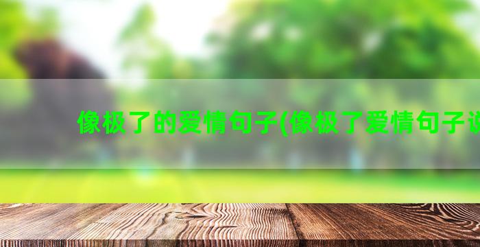 像极了的爱情句子(像极了爱情句子说说)