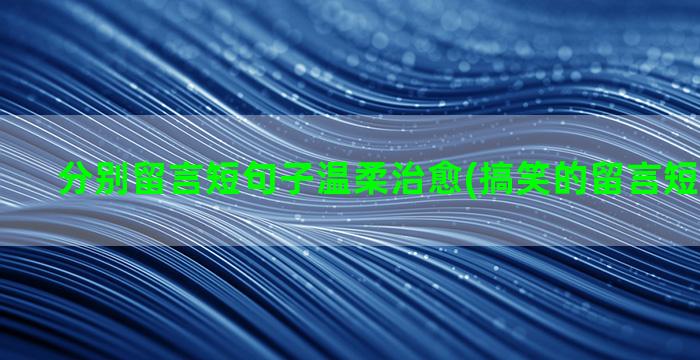 分别留言短句子温柔治愈(搞笑的留言短句子大全)