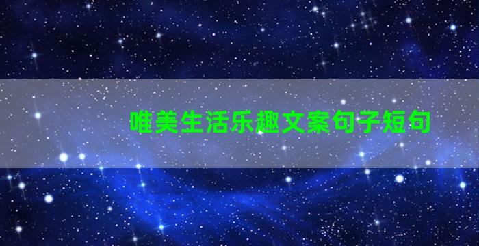 唯美生活乐趣文案句子短句