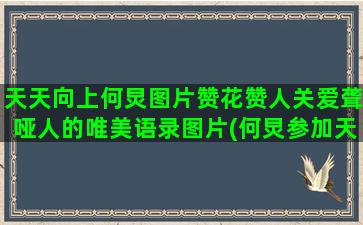 天天向上何炅图片赞花赞人关爱聋哑人的唯美语录图片(何炅参加天天向上视频)