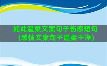 如此温柔文案句子伤感短句(感情文案句子温柔干净)