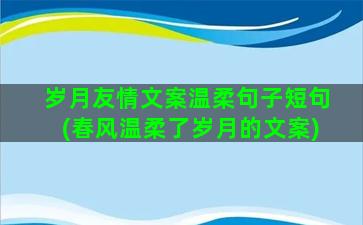 岁月友情文案温柔句子短句(春风温柔了岁月的文案)