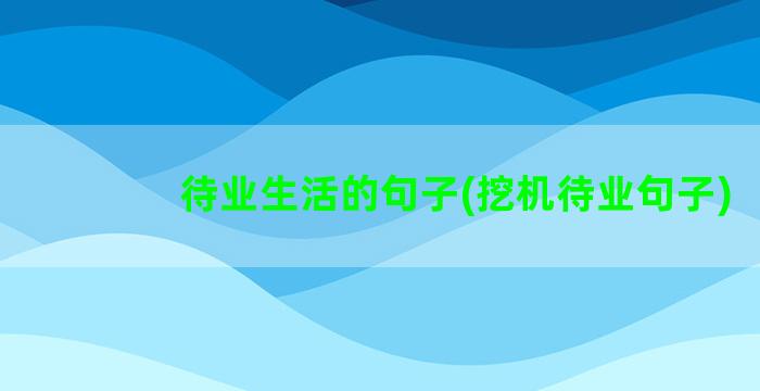 待业生活的句子(挖机待业句子)