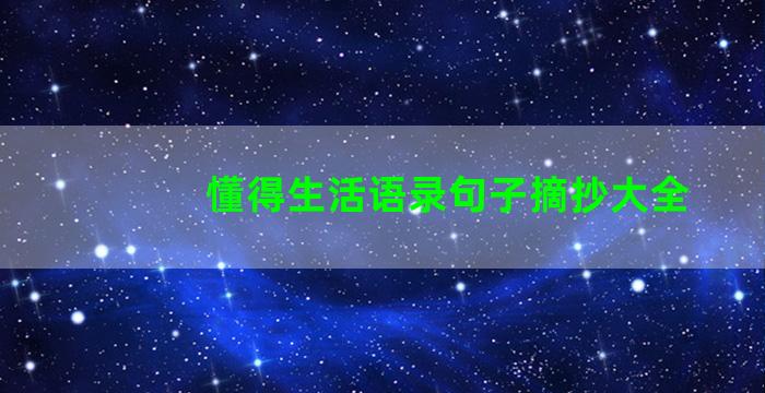 懂得生活语录句子摘抄大全