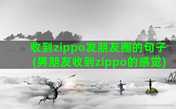 收到zippo发朋友圈的句子(男朋友收到zippo的感觉)