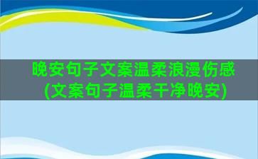 晚安句子文案温柔浪漫伤感(文案句子温柔干净晚安)