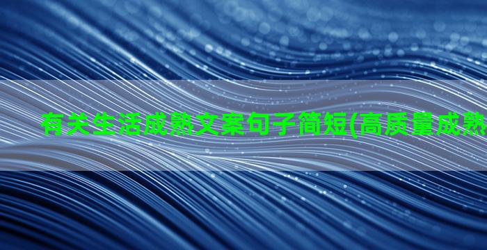 有关生活成熟文案句子简短(高质量成熟文案生活)