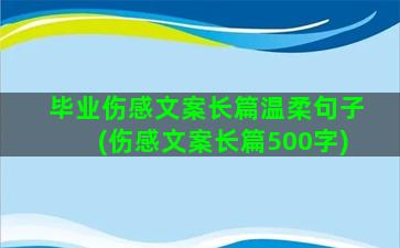 毕业伤感文案长篇温柔句子(伤感文案长篇500字)