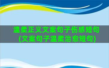 温柔正义文案句子伤感短句(文案句子温柔治愈短句)