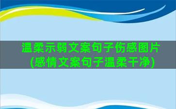 温柔示弱文案句子伤感图片(感情文案句子温柔干净)