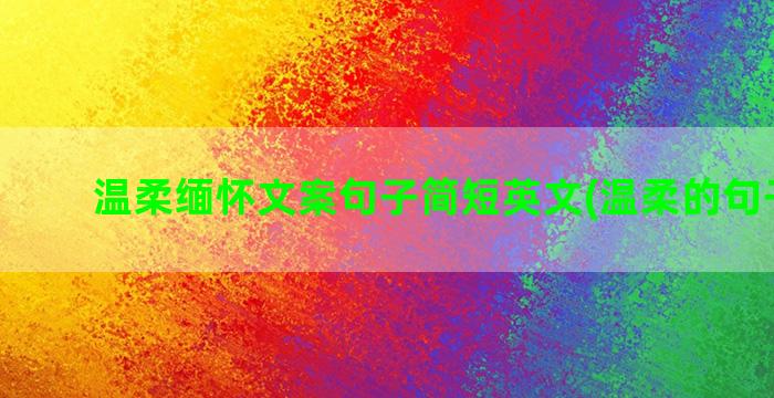 温柔缅怀文案句子简短英文(温柔的句子文案)