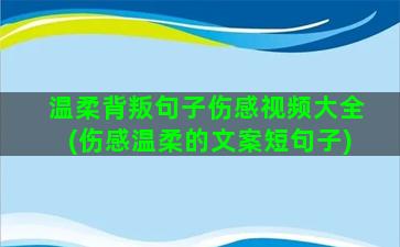 温柔背叛句子伤感视频大全(伤感温柔的文案短句子)