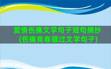 爱情伤痛文学句子短句摘抄(伤痛青春错过文学句子)