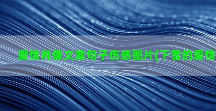 爱情肖像文案句子伤感图片(下雪的爱情文案句子)