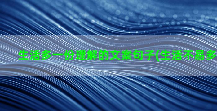 生活多一份理解的文案句子(生活不易多一份理解)