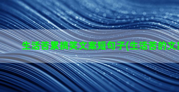 生活苦累搞笑文案短句子(生活苦的文案100字)