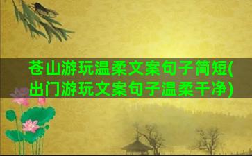 苍山游玩温柔文案句子简短(出门游玩文案句子温柔干净)