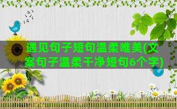 遇见句子短句温柔唯美(文案句子温柔干净短句6个字)