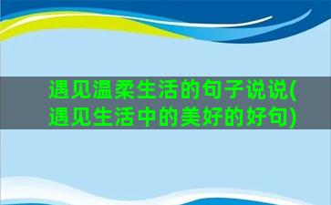 遇见温柔生活的句子说说(遇见生活中的美好的好句)