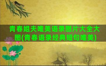 青春姐夫唯美语录图片大全大图(青春语录经典短句唯美)